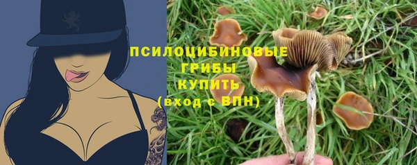 шишки Струнино